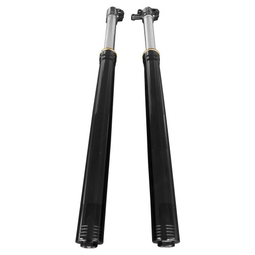 51 HEAVY DUTY FORKS RW