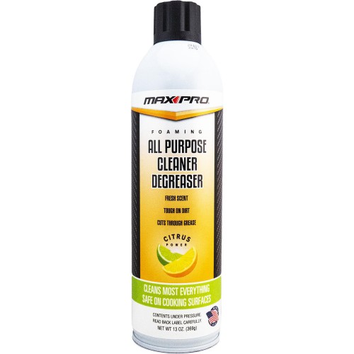 ALL PURPOSE CLEANER 13 OZ