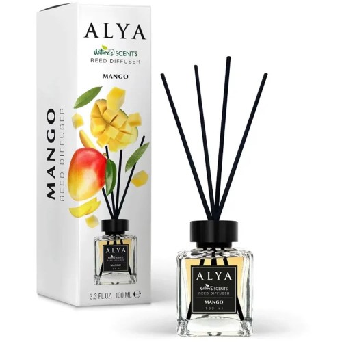 ALYA REED DIFFUSER DISPALY 30CT